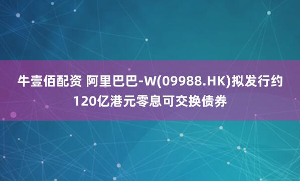 牛壹佰配资 阿里巴巴-W(09988.HK)拟发行约120亿港元零息可交换债券