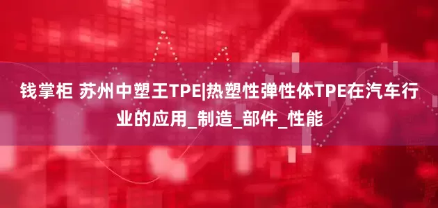 钱掌柜 苏州中塑王TPE|热塑性弹性体TPE在汽车行业的应用_制造_部件_性能